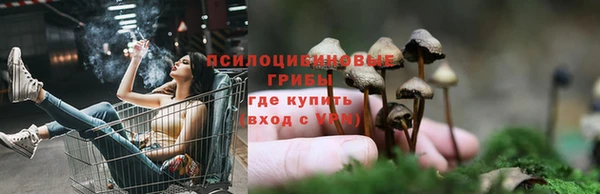 ALPHA PVP Заволжье