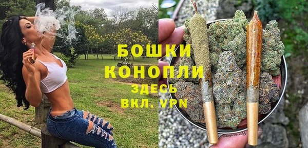 ALPHA PVP Заволжье