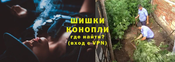 ALPHA PVP Заволжье