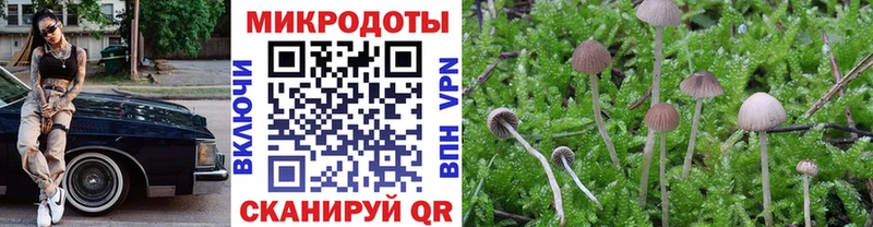 Купить где Карачаевск Псилоцибиновые грибы прущие грибы
